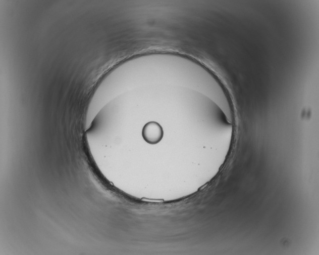 X0000110730009200907101439