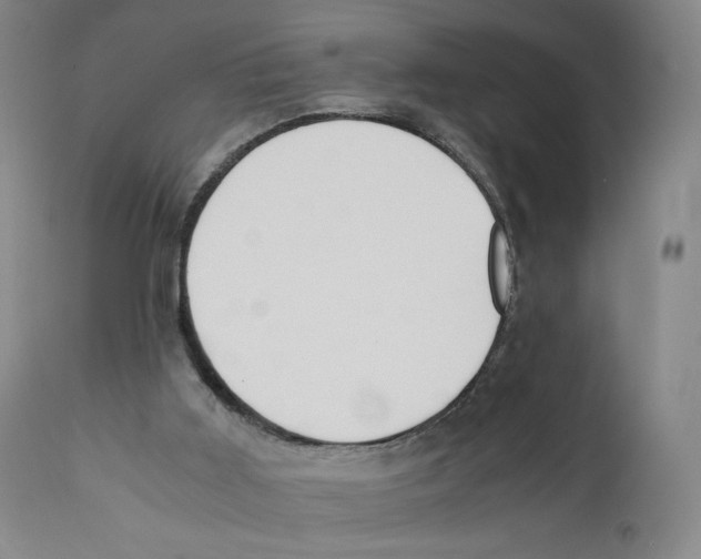 X0000110730011200907101439