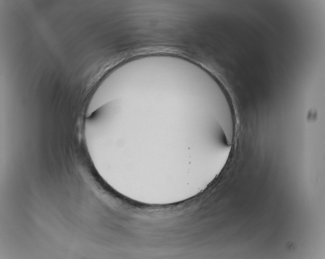 X0000110730013200907101439