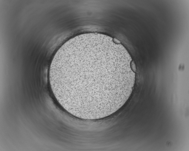 X0000110730014200907101439