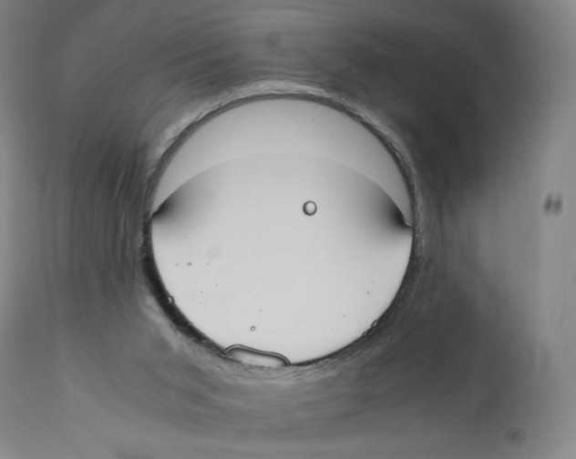 X0000110730015200907101439