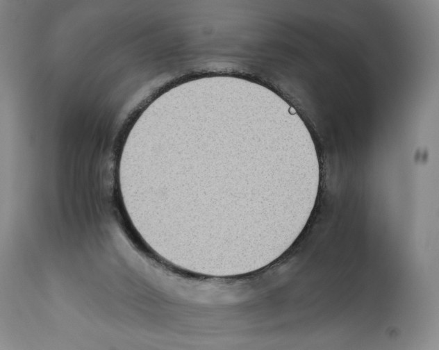 X0000110730016200907101439