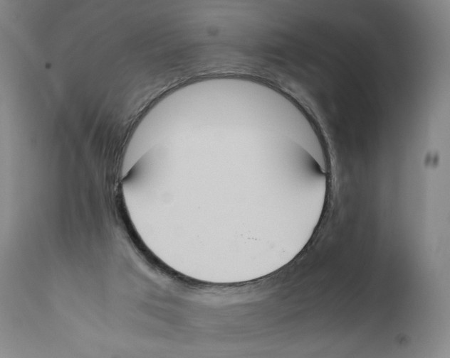 X0000110730017200907101439