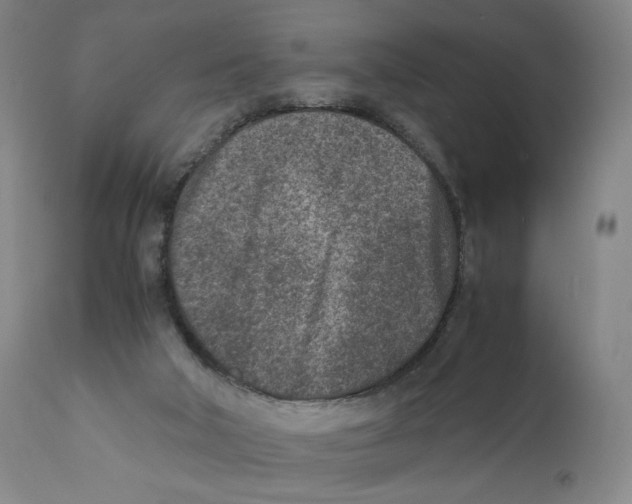 X0000110730018200907101439