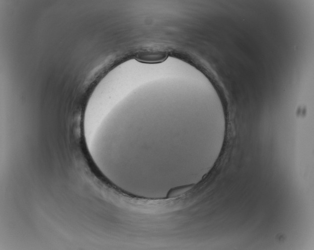 X0000110730019200907101439
