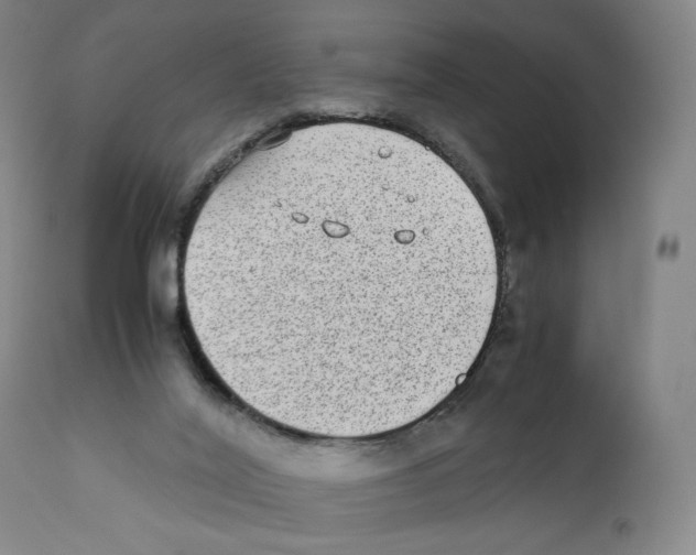 X0000110730020200907101439