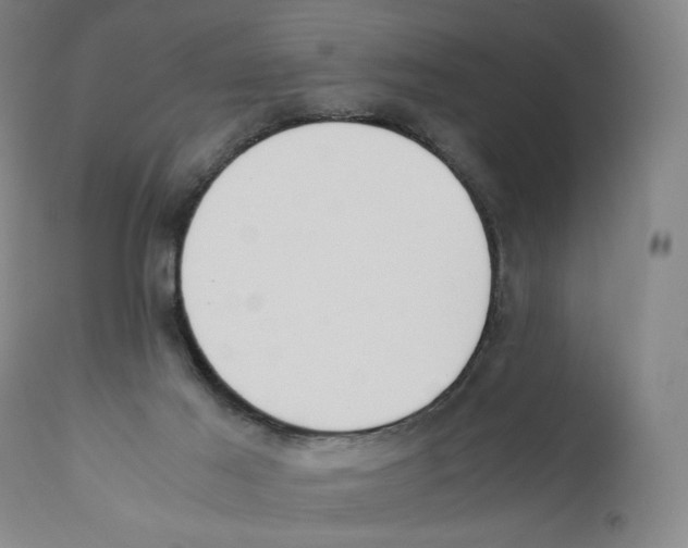X0000110730021200907101439