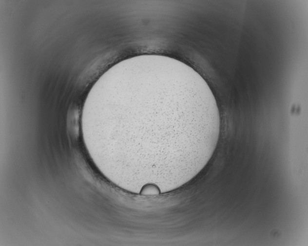 X0000110730022200907101439