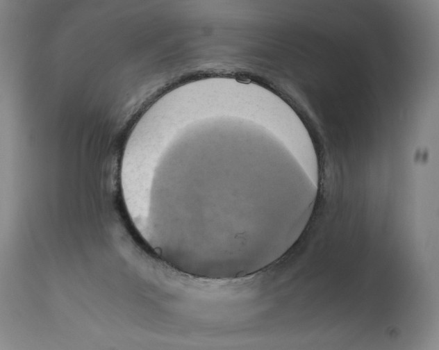 X0000110730023200907101439