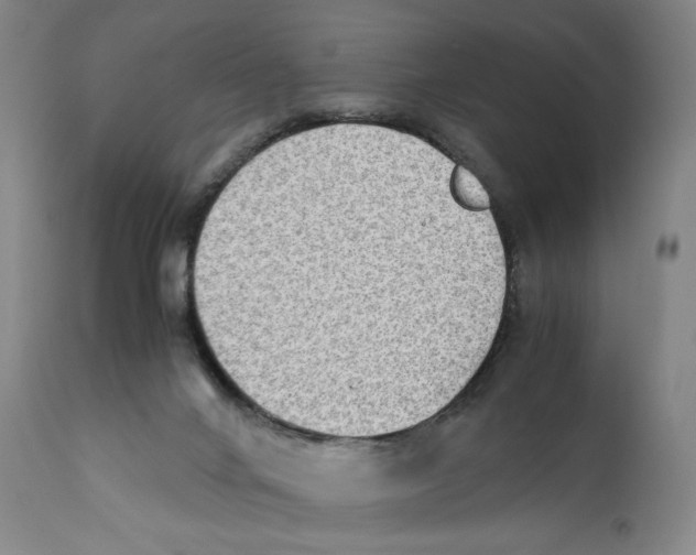 X0000110730024200907101439