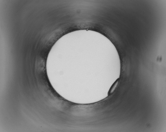 X0000110730025200907101439