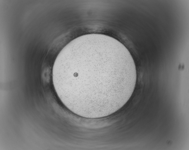 X0000110730026200907101439
