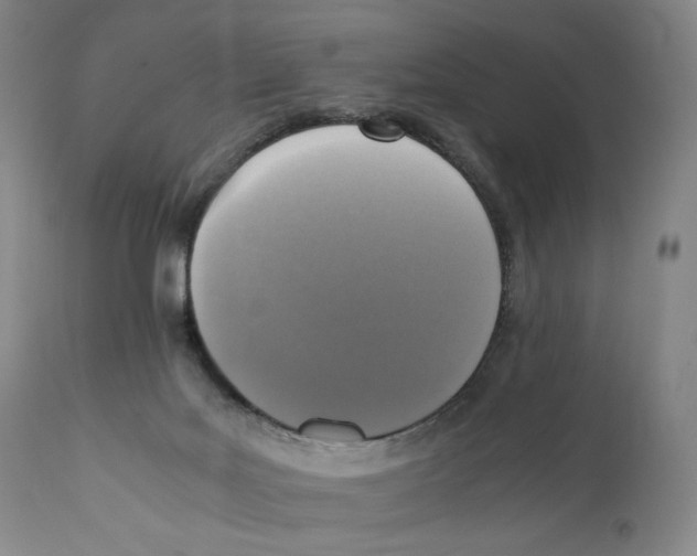 X0000110730027200907101439