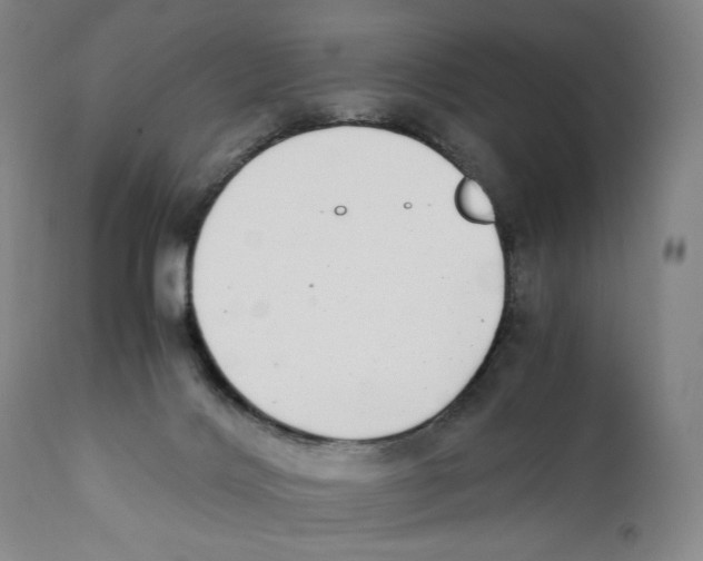 X0000110730028200907101439