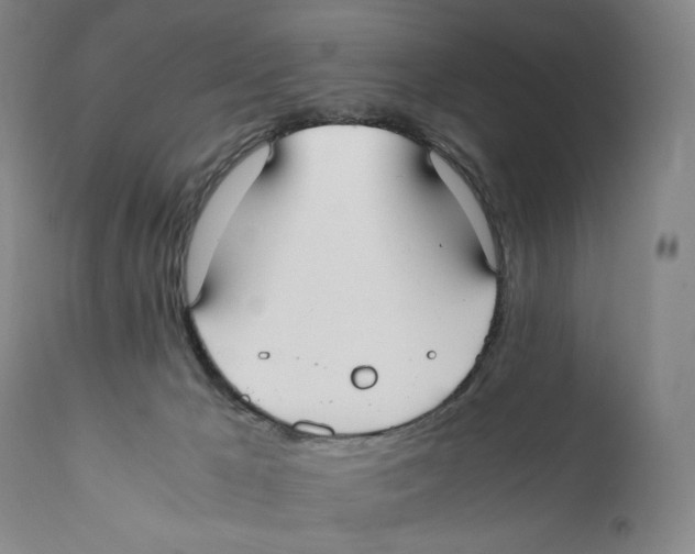 X0000110730029200907101439