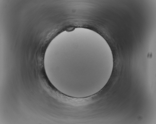 X0000110730031200907101439