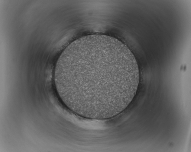X0000110730032200907101439