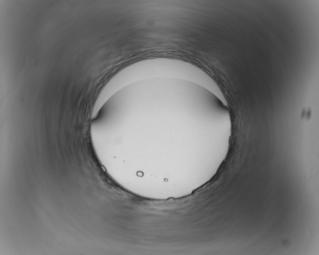 X0000110730033200907101439