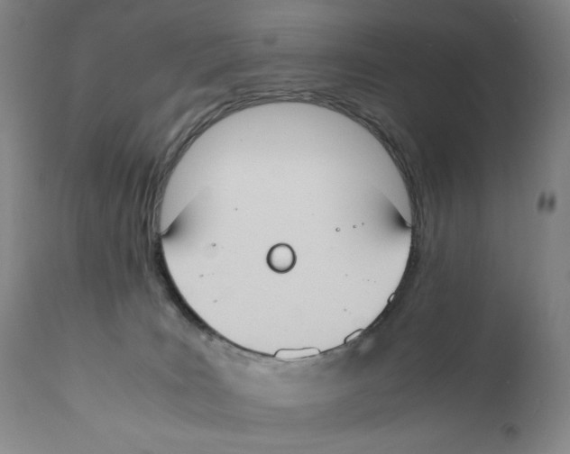 X0000110730035200907101439