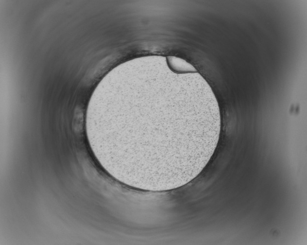 X0000110730036200907101439