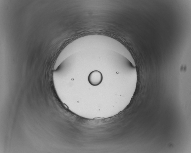 X0000110730037200907101439