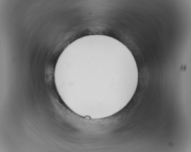 X0000110730038200907101439