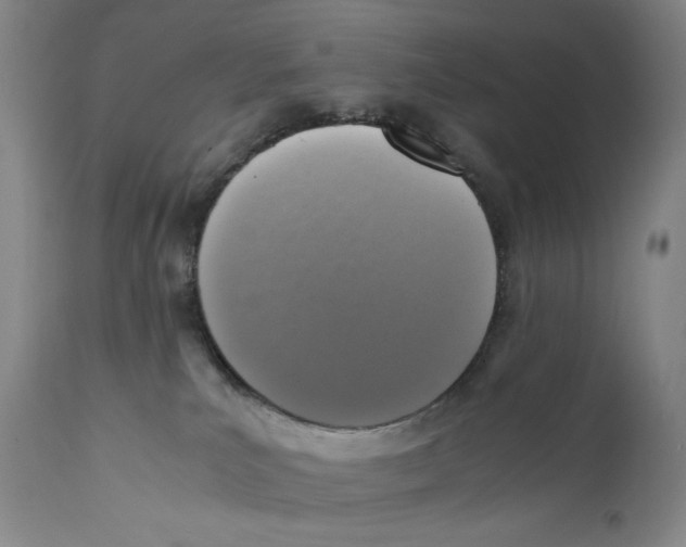 X0000110730039200907101439