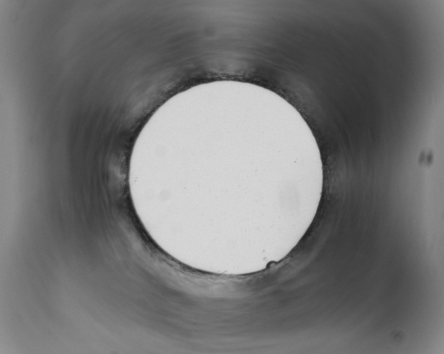 X0000110730040200907101439