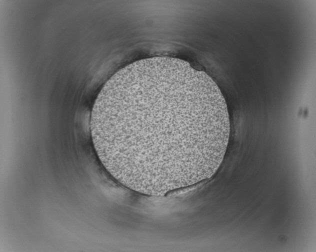 X0000110730041200907101439
