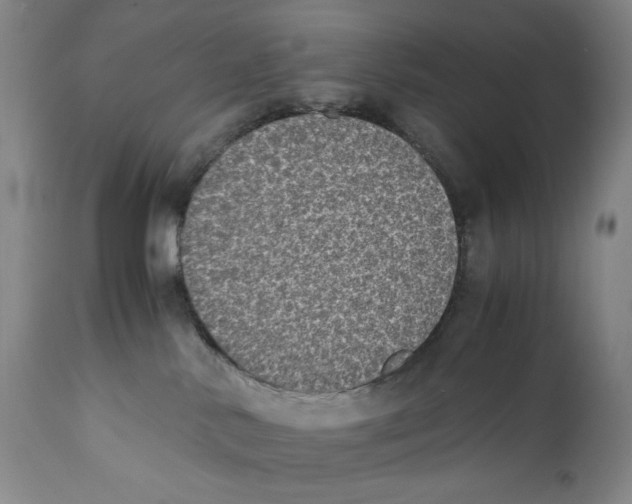 X0000110730042200907101439