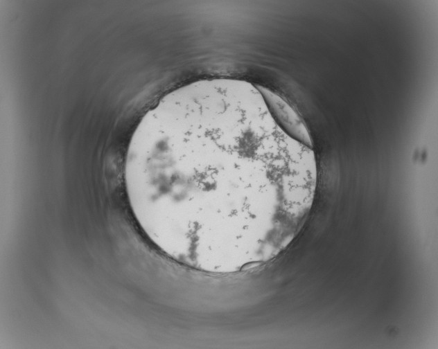 X0000110730043200907101439
