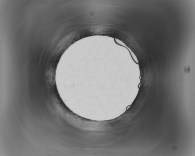 X0000110730044200907101439