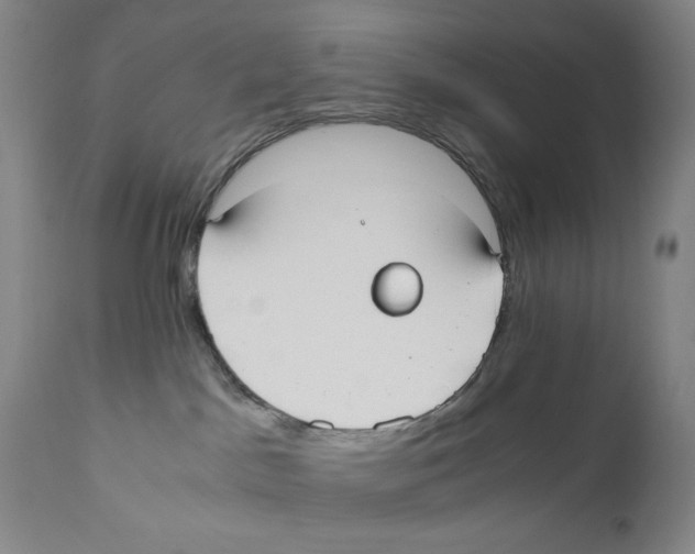 X0000110730045200907101439