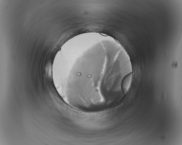 X0000110730046200907101439