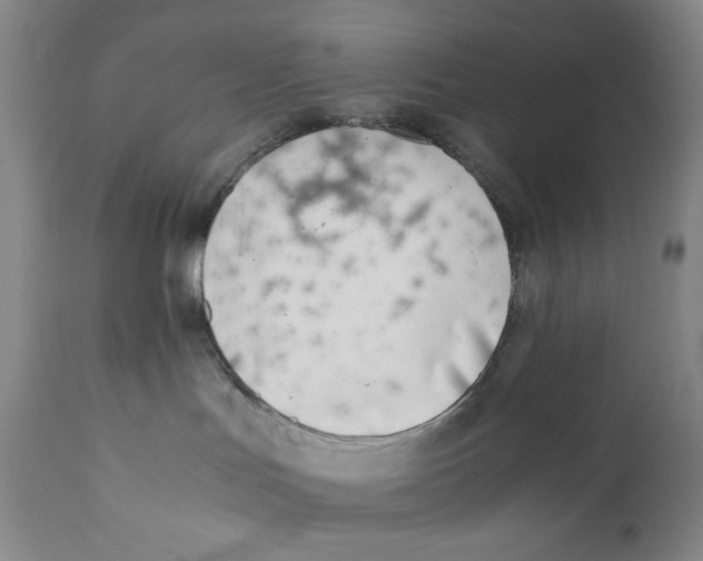 X0000110730047200907101439