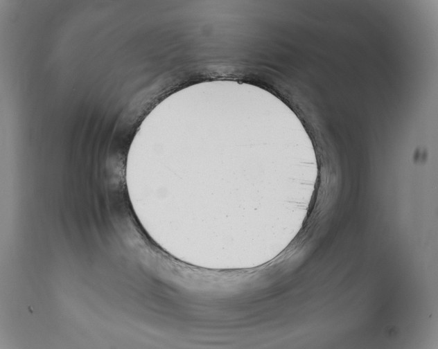X0000110730048200907101439