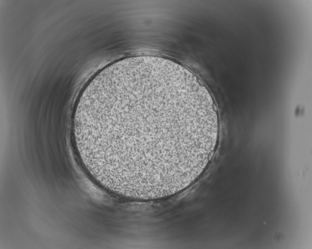 X0000110730049200907101438
