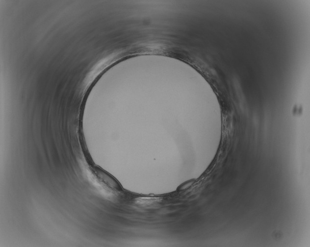 X0000110730051200907101438