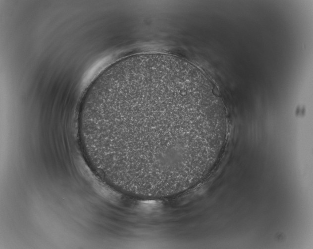 X0000110730053200907101438