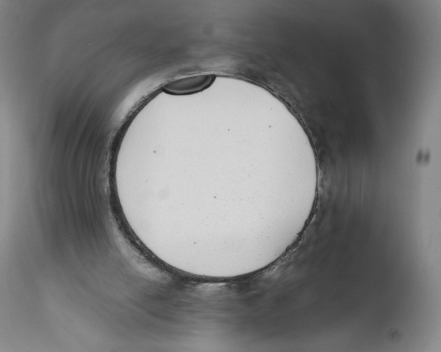 X0000110730054200907101438