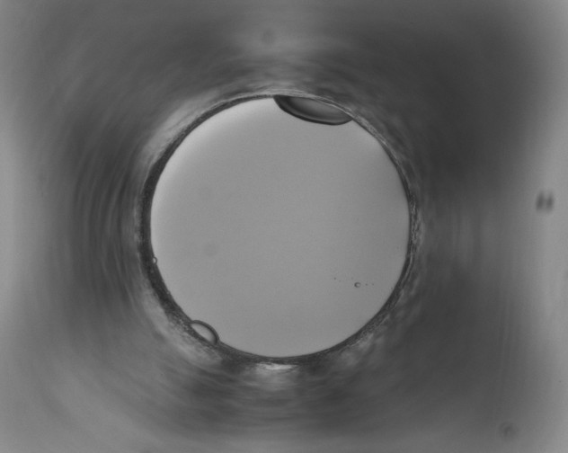 X0000110730055200907101438