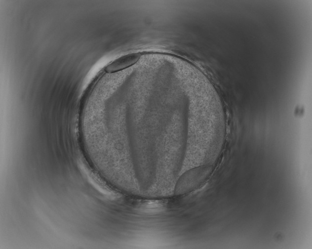 X0000110730056200907101438