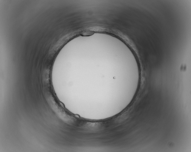 X0000110730057200907101438