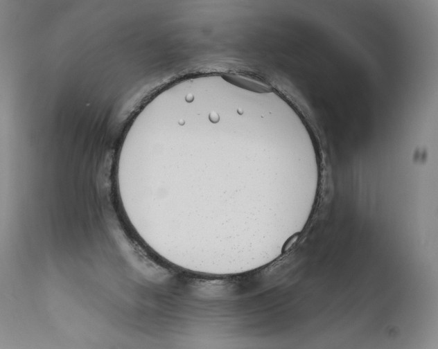 X0000110730058200907101438