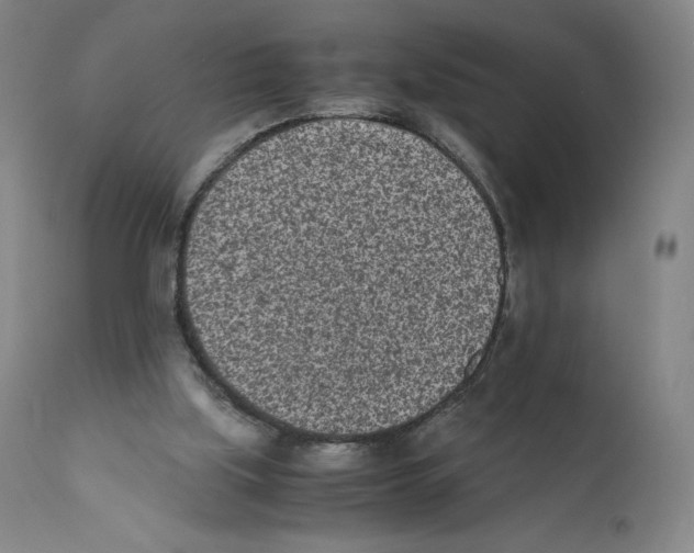 X0000110730059200907101438