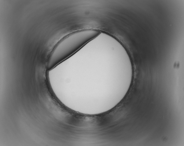 X0000110730060200907101438