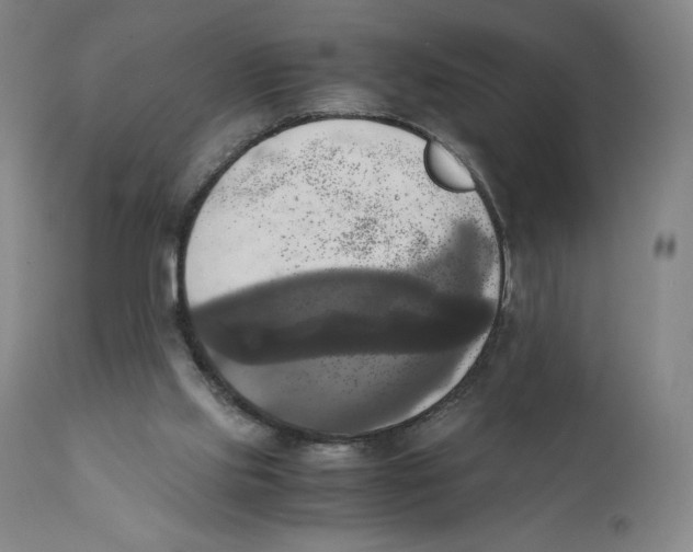 X0000110730061200907101438