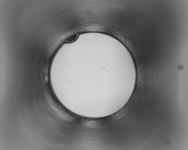 X0000110730062200907101438