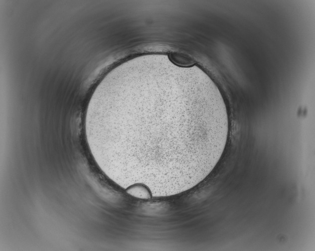 X0000110730063200907101438