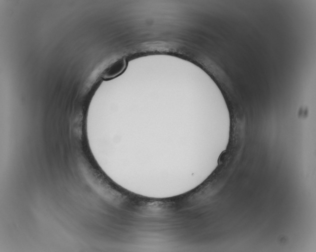 X0000110730064200907101438